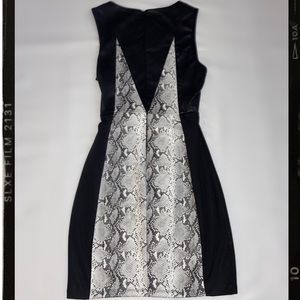 Leather Snakeskin Dress